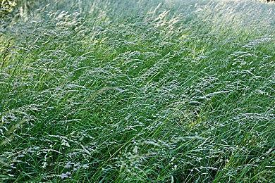 《浩劫前夕》官方发文澄清：没骗玩家钱 都怪有人带节奏